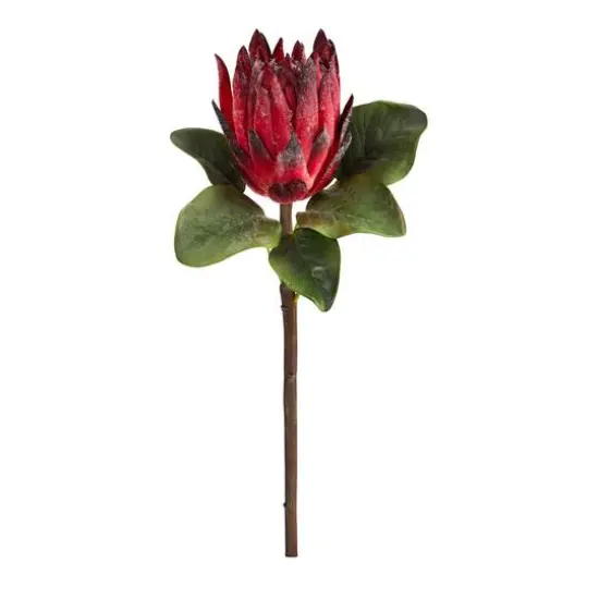 King Protea Artificial Flower Stem, 4ct. {1}