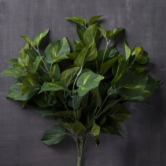 Pothos Bush Real Touch&trade; Collection by Ashland {3}