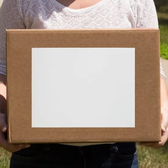 JAM Paper Shipping Labels, 8.5" x 11" White {6}