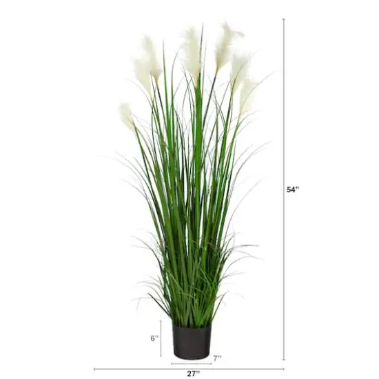 4.5ft. Potted Plume Grass {3}