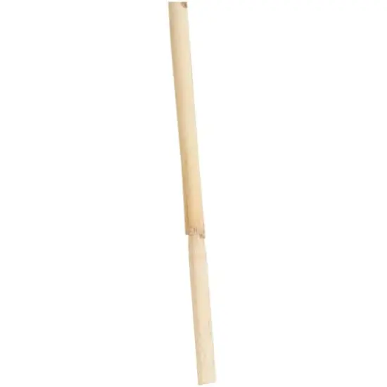 Cream Dried Pampas Grass Stem {3}