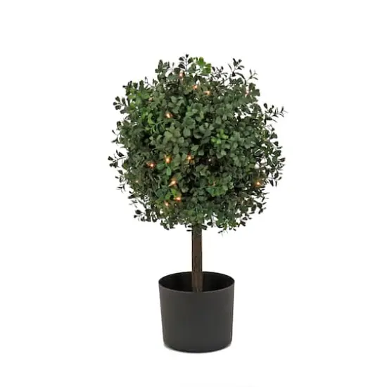 2ft. Pre-Lit Boxwood Single Ball Topiary in Nursery Pot {1}