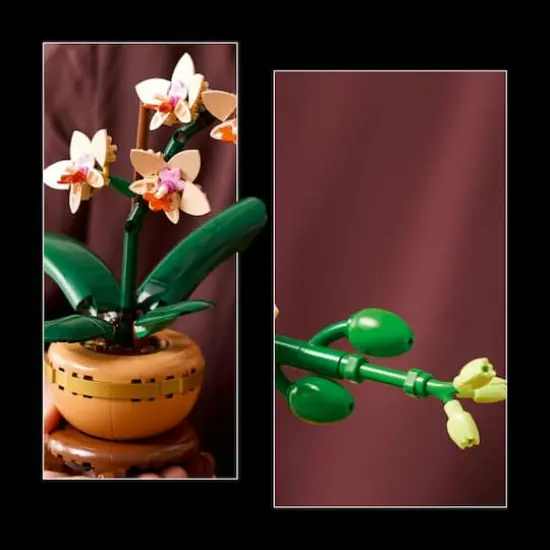 LEGO&reg; Botanicals Mini Orchid Plant Gift 10343 {7}