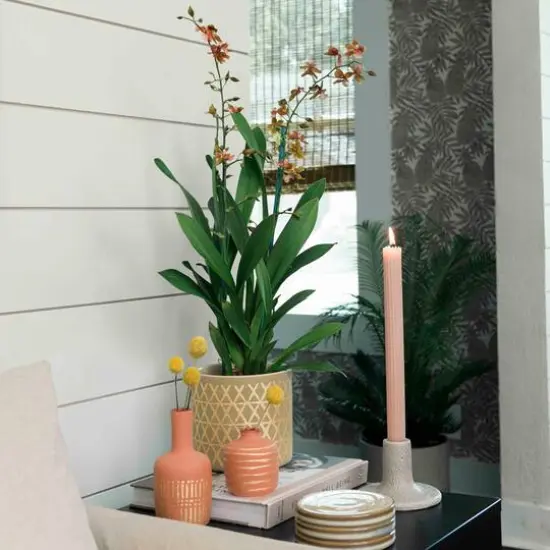 Hello Honey&reg; Gold Stoneware Pots with Geometric Pattern Set {5}