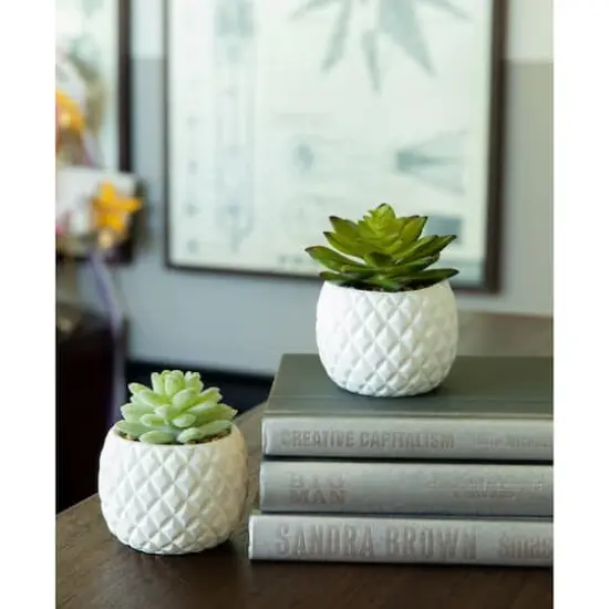 Flora Bunda&reg; 4.5" Succulent in Pineapple Pot, 2ct. {4}