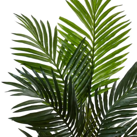 4.5ft. Kentia Palm Tree in White Oval Planter {3}