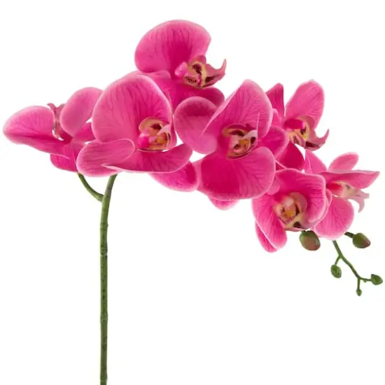 24" Real Touch™ Pink Orchid in a Striped Ceramic Pot {4}