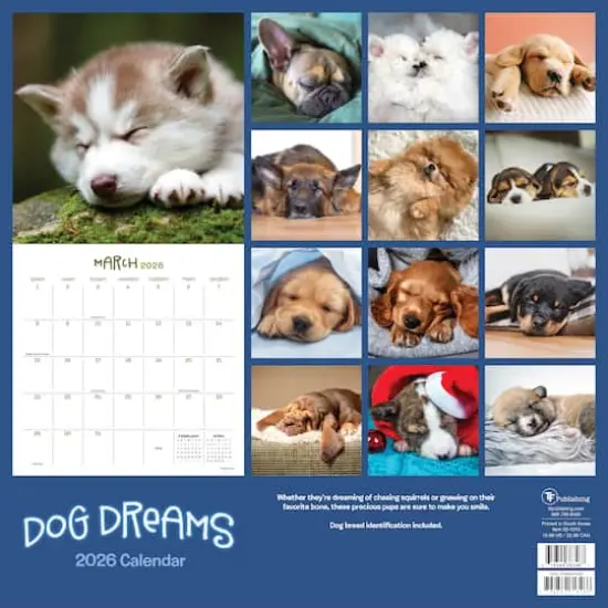 2026 Dog Dreams Wall Calendar {6}