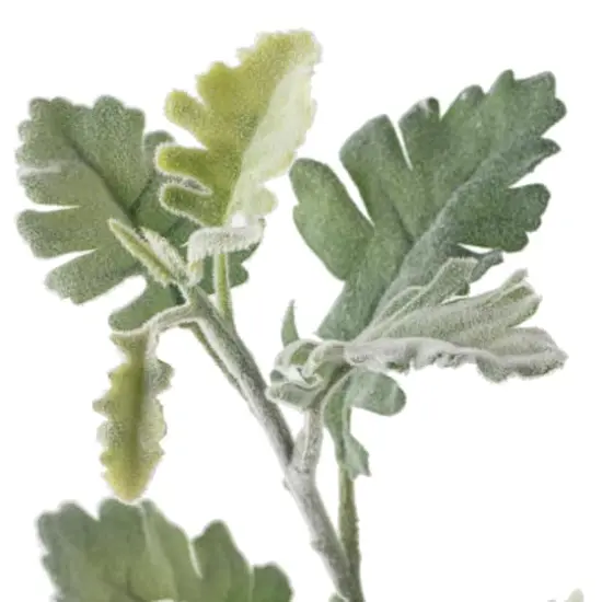 Frosted Dusty Miller Spray Stem by Ashland&reg; {4}