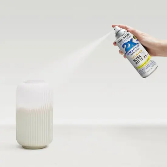 Rust-Oleum&reg; Painter's Touch&reg; 2X Ultra Matte Paint & Primer Spray White {7}