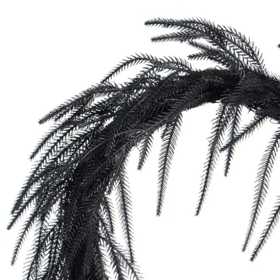 24" Norfolk Pine Wreath by Ashland&reg; {3}