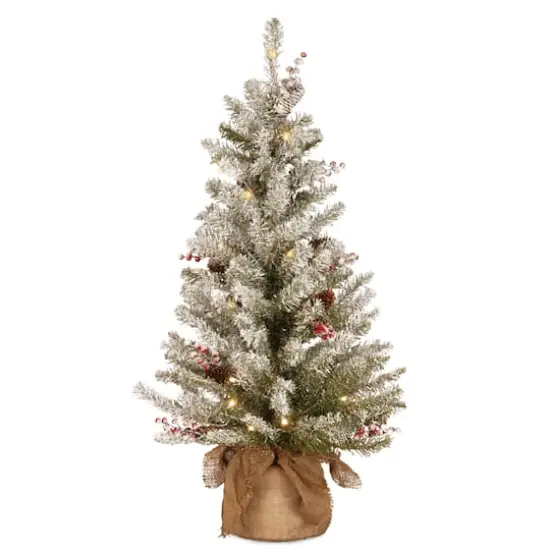 3ft. Pre-Lit Dunhill&reg; Fir Artificial Christmas Tree, Warm White LED Lights {1}