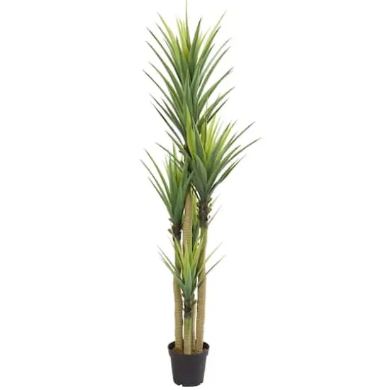 7ft. Potted Dracaena Tree {1}
