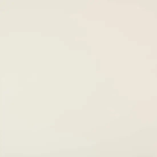 Shimmer Silver & Champagne 8.5" x 11" Cardstock Paper by Recollections&reg;, 100 Sheets {6}