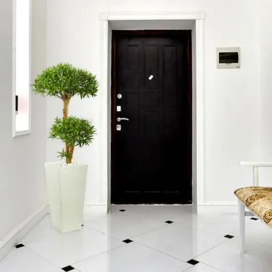 4ft. Green Bonsai Styled Plum Pine Tree in Tower Planter {4}