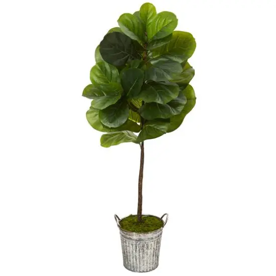 4ft. Fiddle Leaf Tree in Vintage Metal Pail {1}