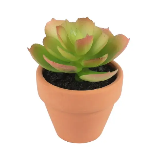 Mini Premade Succulents in Terra Cotta Pots, 6ct. by Ashland&reg; Dark Green {5}