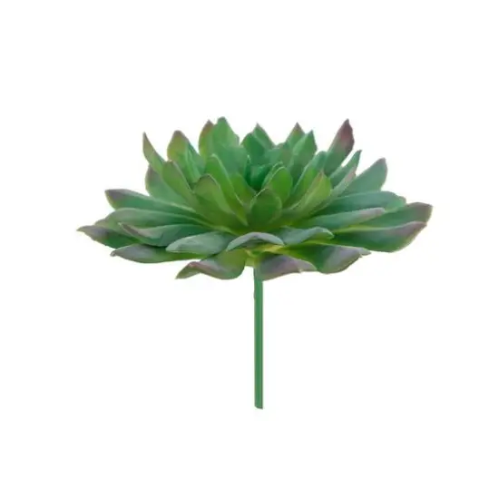 Flora Bunda&reg; Succulent Pick, 6ct. {3}