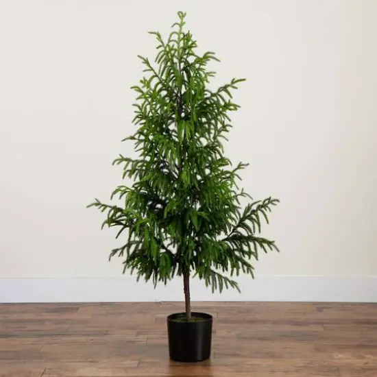 5ft. Unlit Norfolk Pine Artificial Potted Christmas Tree {9}