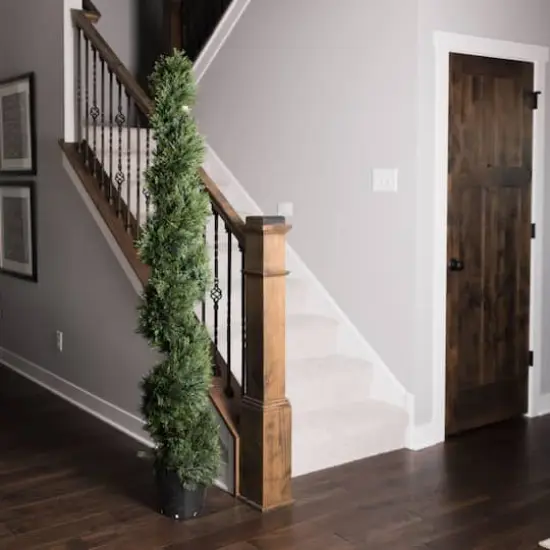 6ft. Potted Green Cedar Spiral Tree {3}