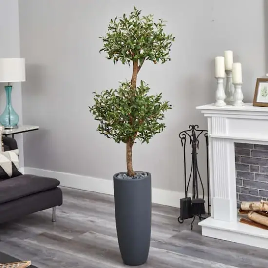 6ft. Double Olive Tree in Gray Planter {3}