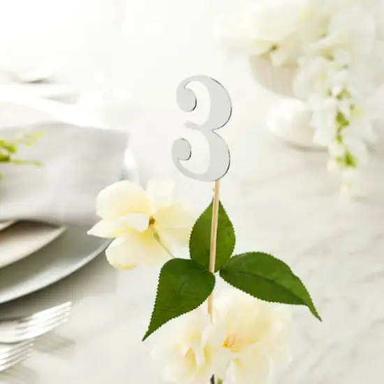 1-12 Silver Table Numbers by Celebrate It&trade; {3}
