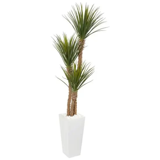 6ft. Yucca Tree in White Tower Planter {1}