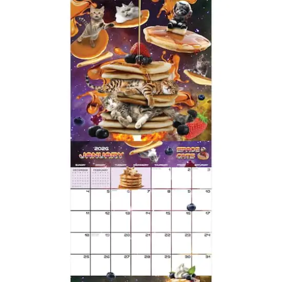 2026 Space Cats Wall Calendar {3}