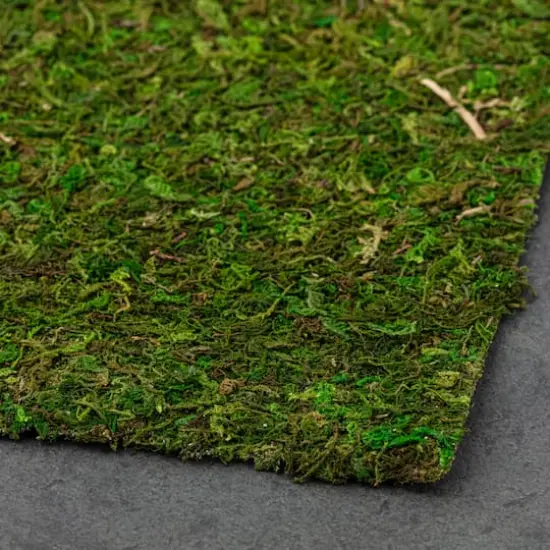 Moss Mat by Ashland&reg; {3}