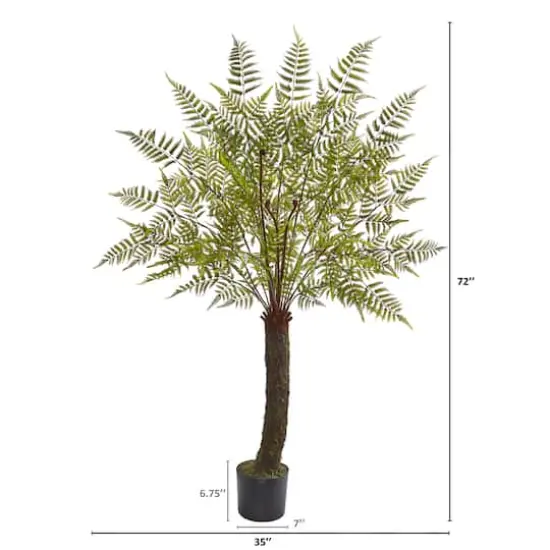 6ft. Potted Fern Plant  {3}