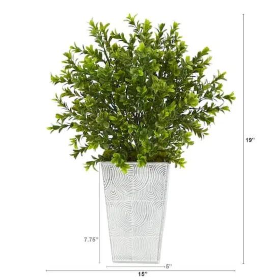 19in. Boxwood Plant in Embossed White Planter {3}