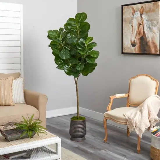 6ft. Fiddle Leaf Fig Tree in Ribbed Metal Planter {5}