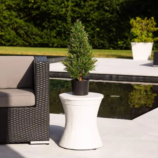 2ft. Potted UV Resistant Rosemary Cone Topiary Tree {3}