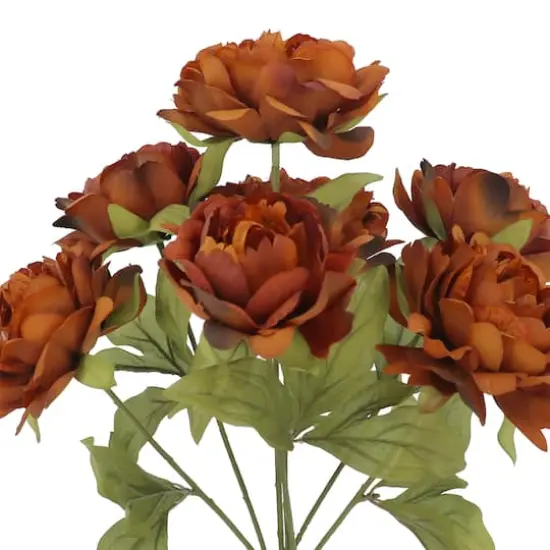 19" Dark Orange Peony Deluxe Bush by Ashland&reg; {3}