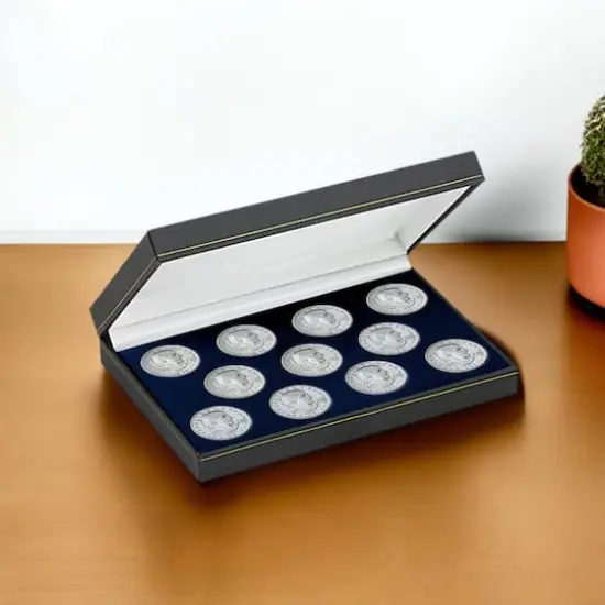 Complete Susan B. Anthony Dollar Collection in Brilliant Uncirculated Condition {1}