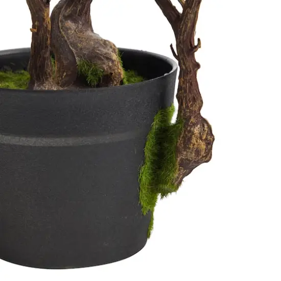 2.5ft. Potted Cherry Blossom Plant {4}