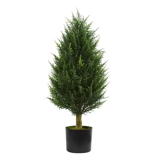3ft. Potted Cypress Tower Tree {1}