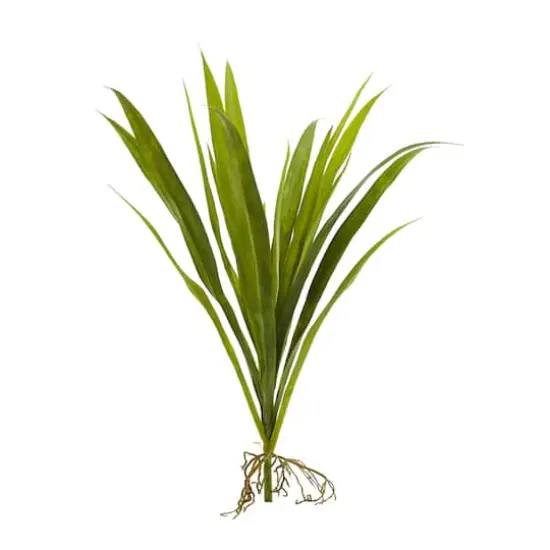 15" Grass Plant, 6ct. {1}