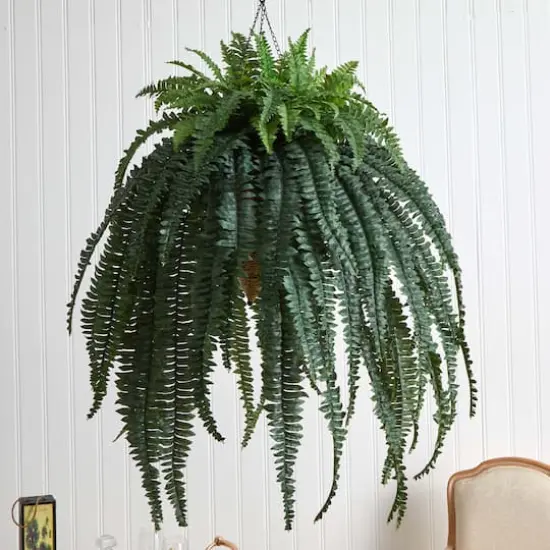 50&rdquo; Giant Boston Fern in Hanging Cone Basket {5}