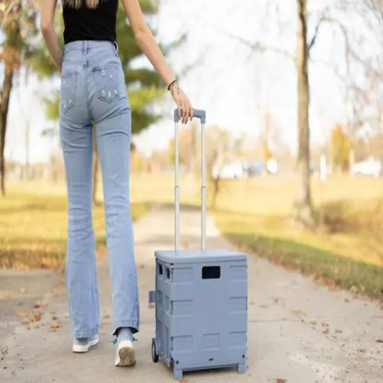 Everything Mary Blue Plastic Collapsible Cart Organizer {9}