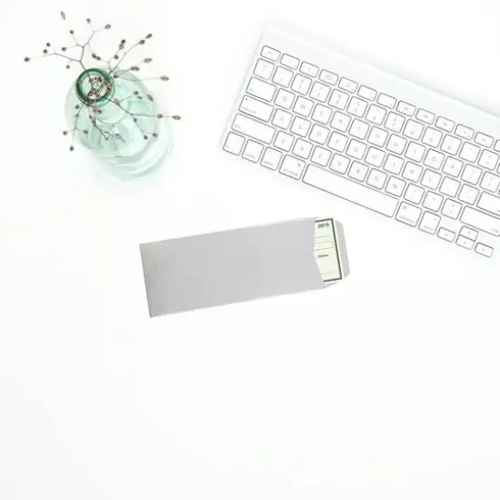 JAM Paper #10 Policy Metallic Business Envelopes, 50ct. Silver Stardream {5}