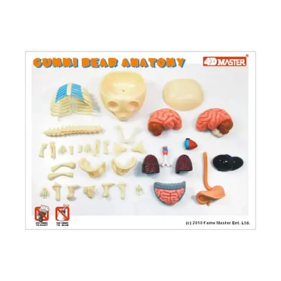 4D Master&reg; Funny Anatomy Gummi Bear Model {3}