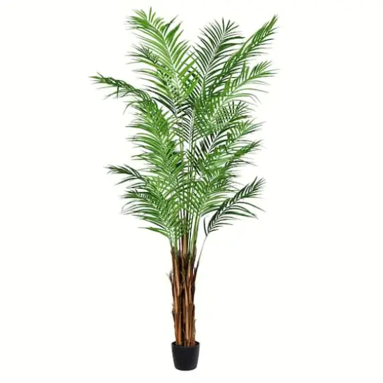 7ft. Potted Giant Areca Palm Tree {1}