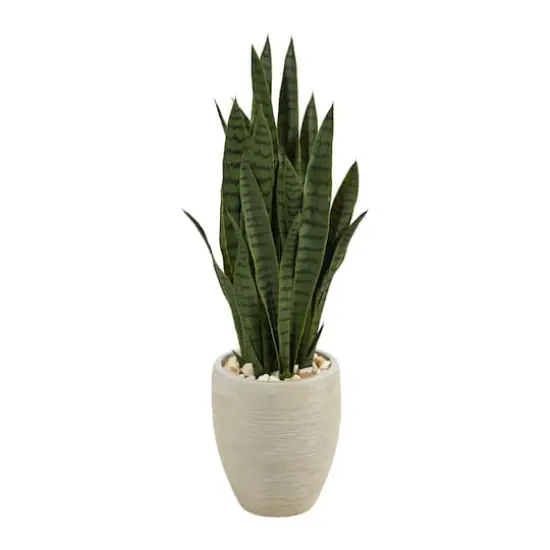 3ft. Snake Plant in Sand Colored Planter {1}