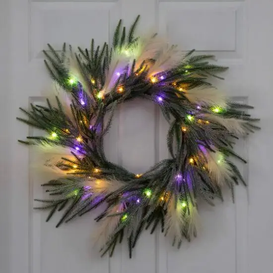 24in. Artificial Balsam Fir Pine and Pampas Wreath with 50 Color Changing LED Lights {16}