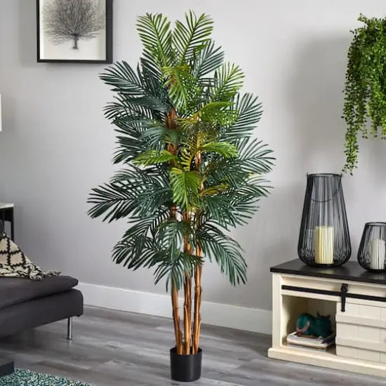 6ft. Potted Robellini Palm Tree {4}