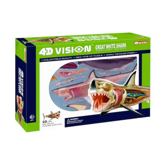 4D Vision&trade; Great White Shark Anatomy Model {1}