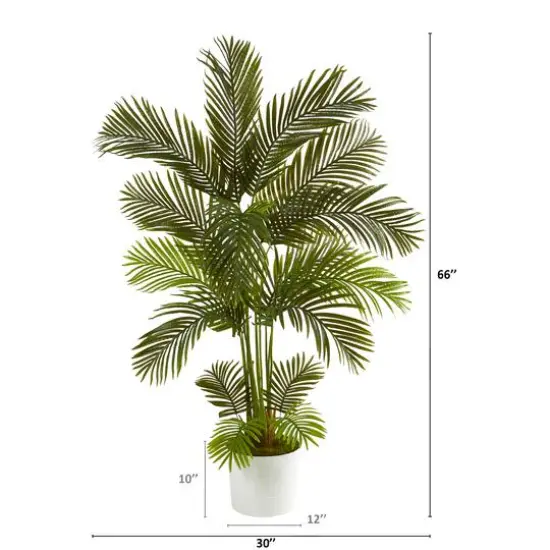 5.5ft. Areca Palm Tree in White Tin Planter {3}