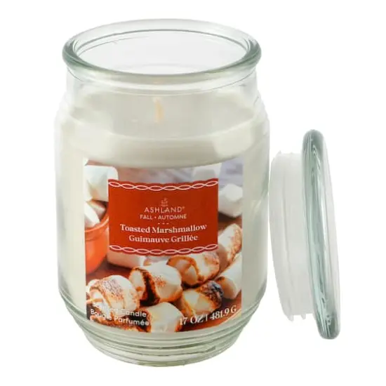 17oz. Fall Scented Jar Candle by Ashland&reg; Toasted Marshmallow {3}