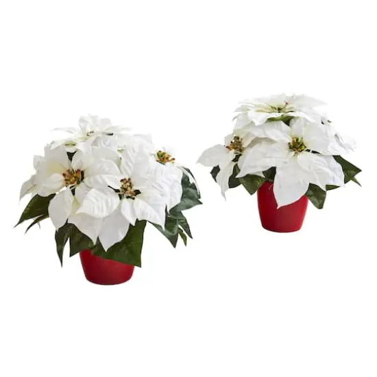 12" Potted White Poinsettia Set {1}